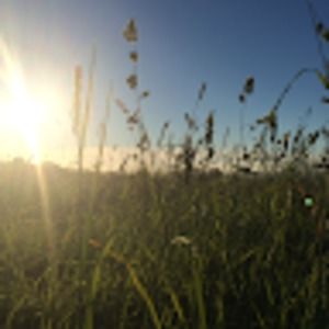 Meet your Posher, Esther